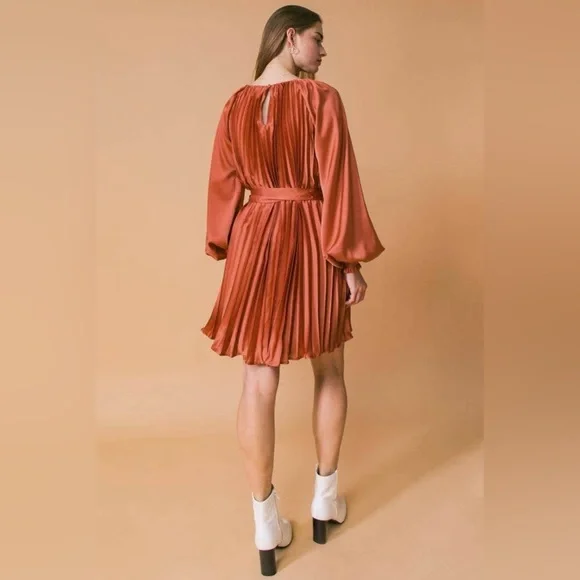 NWT Boutique Grace Pleated Long Sleeve Dress – Rust - Picture 7 of 7